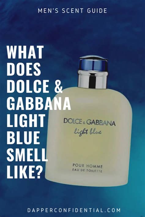 what does dolce gabbana light blue smell like|Dolce & Gabbana light blue original.